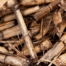 biomassa lignina